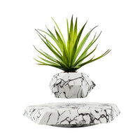 Thumbnail for Floating Plant Levitating New Version