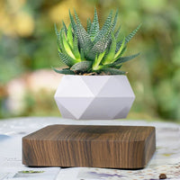 Thumbnail for Poly Levitating Planter