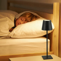 Thumbnail for Portable Cordless Rechargeable Lamp 3 Colors