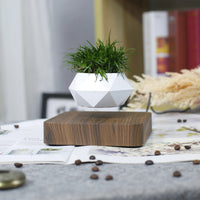 Thumbnail for Poly Levitating Planter