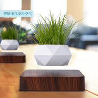 Thumbnail for Poly Levitating Planter