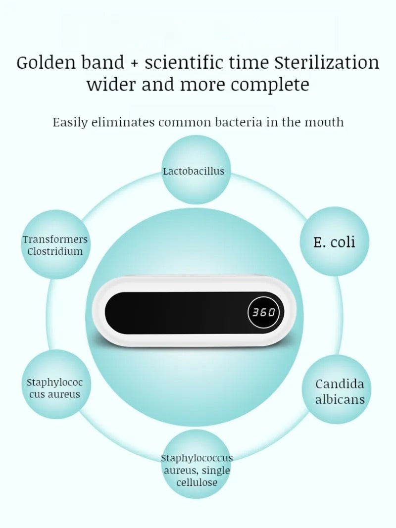 Smart Wall Mounted Toothbrush Holder
