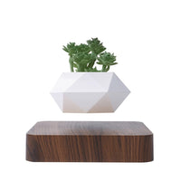 Thumbnail for Poly Levitating Planter